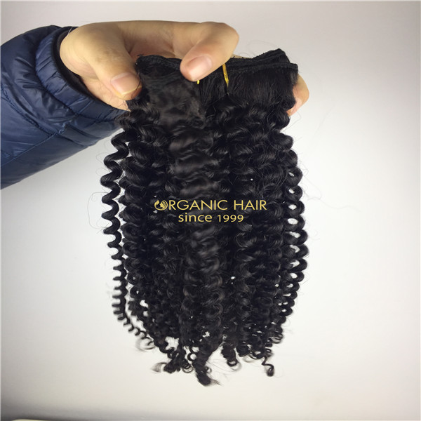 Clip on extensions cheap human hair wholesale